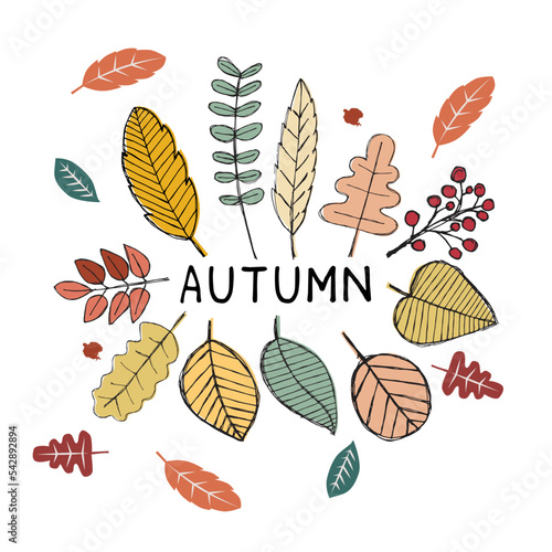 Autumn hand drawing leaves set, isolated on a white background. Simple cartoon flat style. Isolated vector illustration. Design for stickers, logos, web and mobile apps. © andrie restya