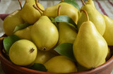Closeup of ripe yellow pears with green leaves in clay bowl on wooden table indoors. Season harvest. Fresh ingredients for cooking. Sweet fruits ready to eat. Still life. Focus on foreground