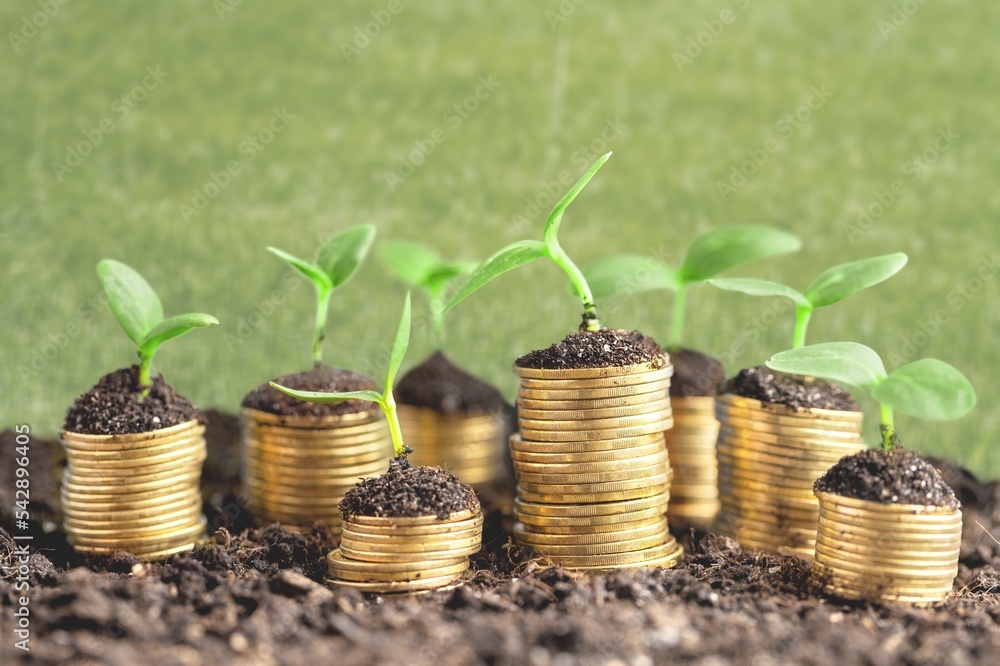 Money gold coins with green plants in soil - obrazy, fototapety, plakaty 