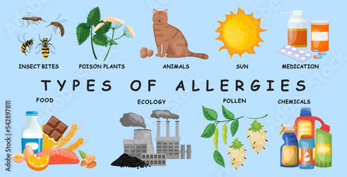 Types of allergies. Medical infographic. Vector illustration