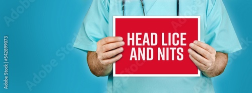 Head lice and nits. Doctor shows red sign with medical word on it. Blue background.