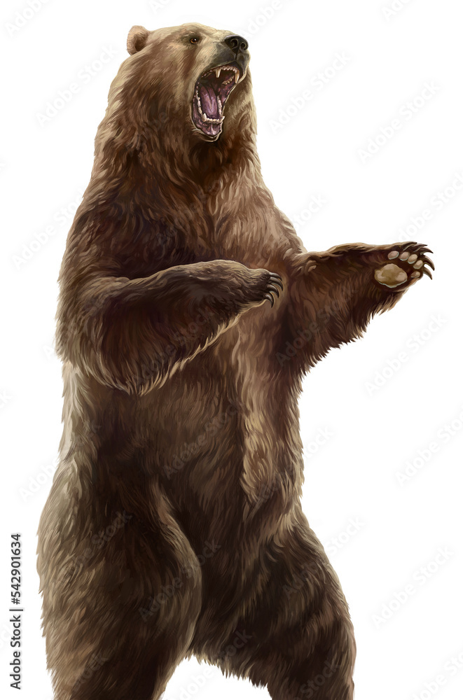 Fototapeta premium Aggressive bear standing on its hind legs, isolated from the background. Raster illustration.