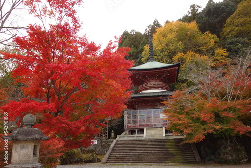 嵐山・多宝塔と紅葉