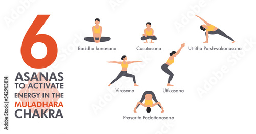 A collection of 6 asanas for the muladhara chakra. Young women performing physical exercise. Set of female character demonstrating yoga poses, isolated on white background. Vector illustration photo