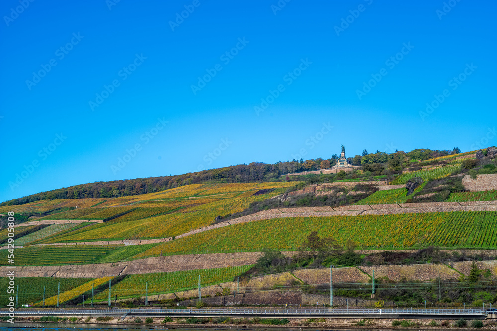 Naklejka premium blauer himmel über herbstlichen weinbergen bei rüdesheim