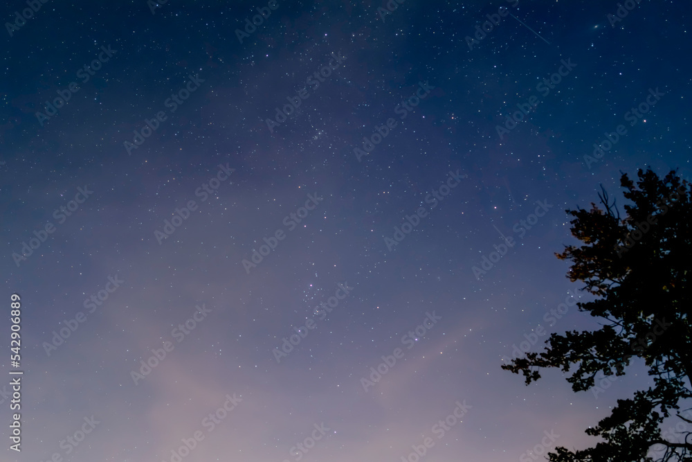 star, night, nature, tree, milkyway, himmel, abenddämmerung, see, beach, cloud, küste, dämmerung, hafen, licht, abend, fluss, nacht, wasser, abendrot, landschaft, meer, stadt, natur, anreisen, brücke, star, night, nature, tree, milkyway, himmel, abenddämmerung, see, beach, cloud, küste, dämmerung, hafen, licht, abend, fluss, nacht, wasser, abendrot, landschaft, meer, stadt, natur, anreisen, brücke,