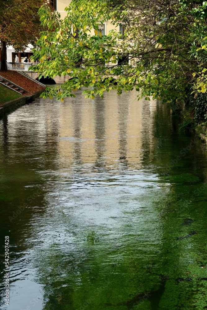 Fototapeta premium Passeggiando ed ammirando la città di Treviso - Italia