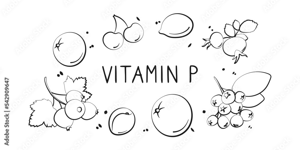Vitamin P bioflavonoids. Groups of healthy products containing vitamins and minerals. Set of fruits, vegetables, meats, fish and dairy.