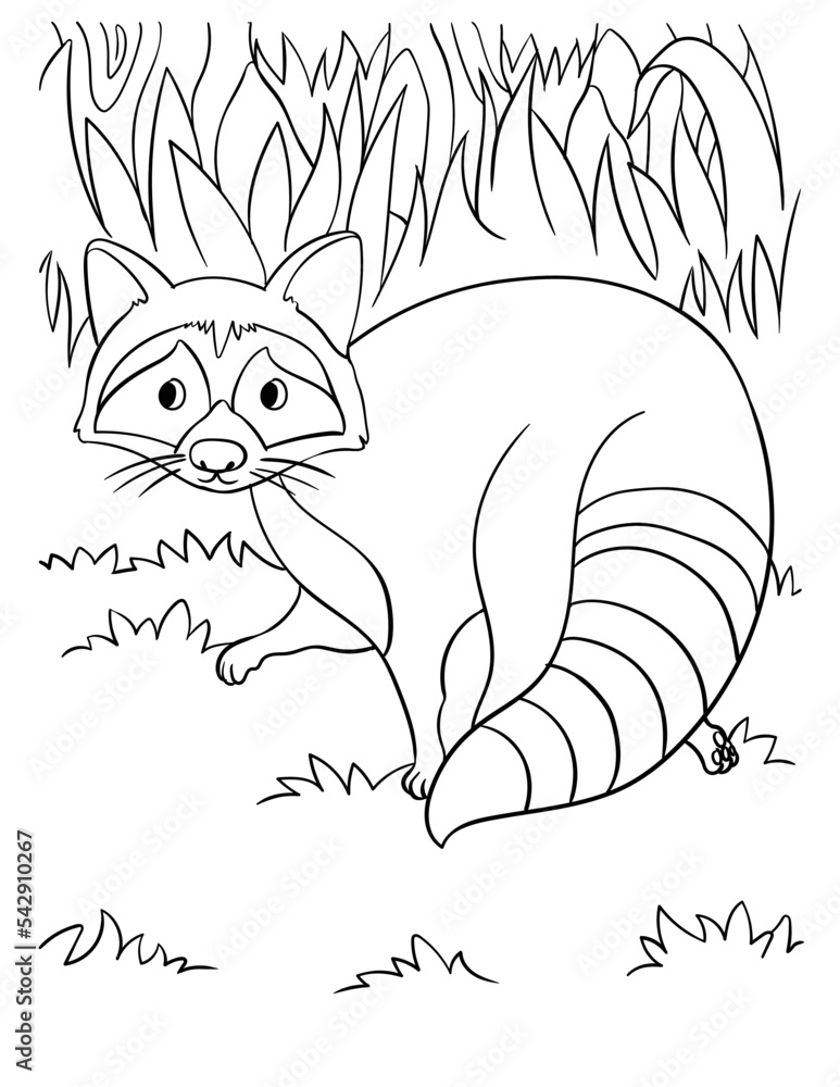 Racoon Coloring Page for Kids Stock Vector | Adobe Stock