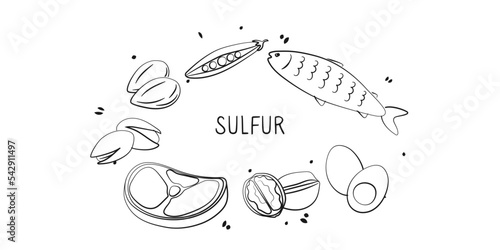 Sulfur-containing food. Groups of healthy products containing vitamins and minerals. Set of fruits, vegetables, meats, fish and dairy
