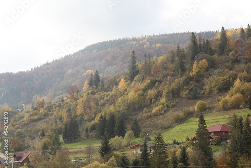 Beautiful forest and mountain village on autumn day