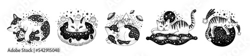 Space cats. Mystic anime art. Gothic witch esoteric tattoo. Black galaxy cat set. Halloween, astrology animals. Cute trippy star drawing. Witchcraft vintage vector. Magic boho trendy celestial sketch