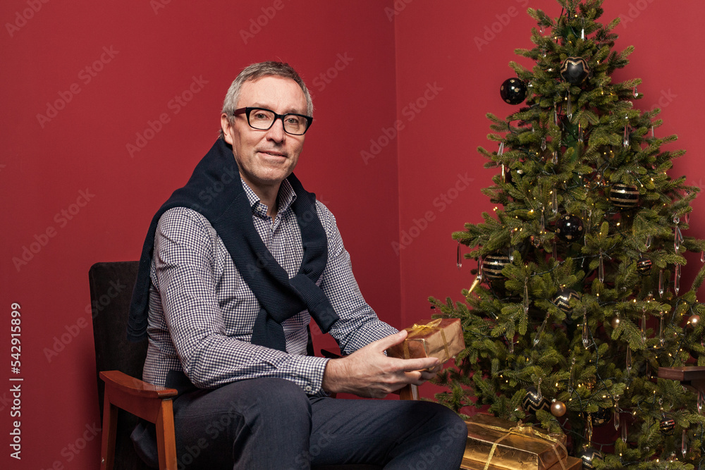Fototapeta premium Attractive elderly man holds Christmas presents gold box against red studio wall background and green decorated Christmas tree