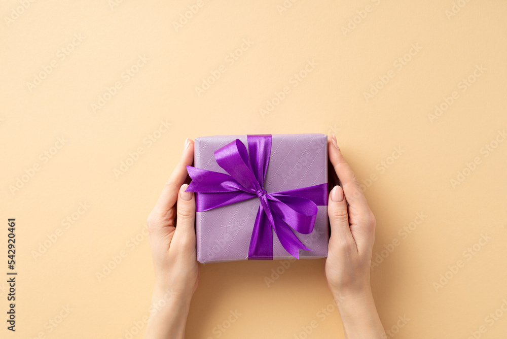 New Year concept. First person top view photo of female hands giving purple giftbox with violet ribbon bow on isolated pastel beige background with blank space New Year concept. First person top view photo of female hands giving purple giftbox with violet ribbon bow on isolated pastel beige background with blank space