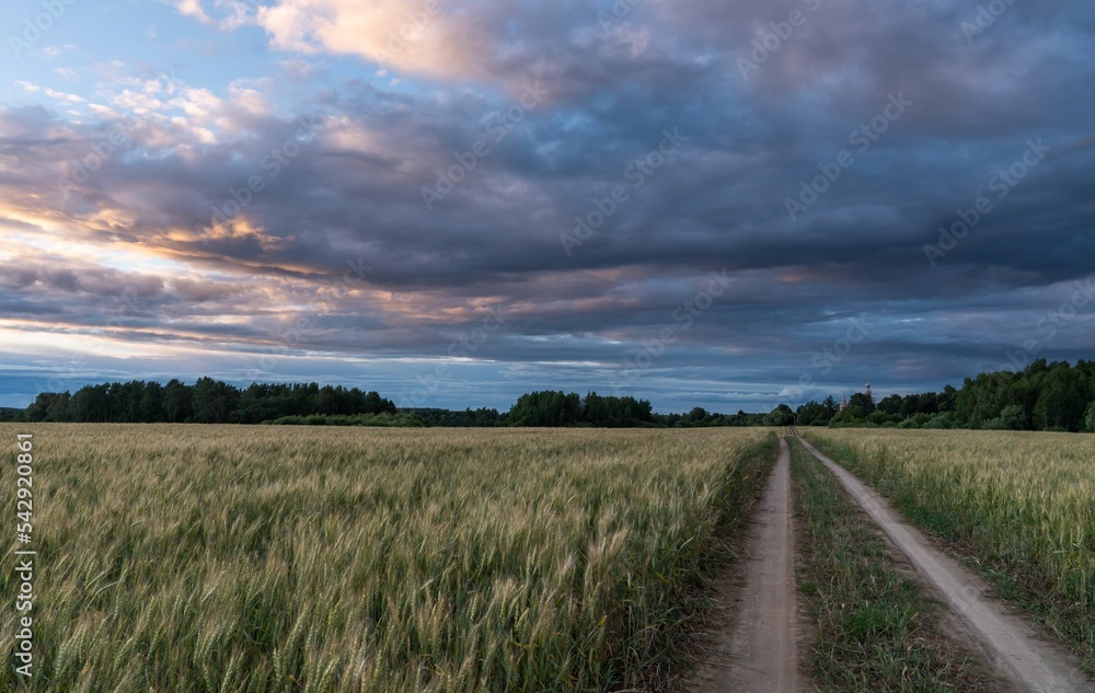 Fototapeta premium summer sunset landscape overlooking the road