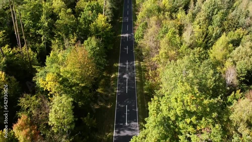 Drone footage of a road in the forest in autumn photo