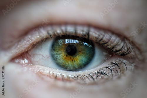auge pupille green 