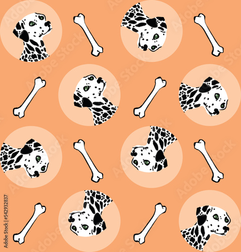 Abstract Hand Drawing Colorful Cute Dalmatian Dogs with Bones Seamless Vector Pattern Isolated Background