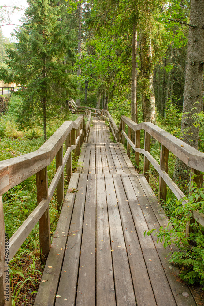 Vertical photo of a wooden bridge with steps and railings in a green forest Vertical photo of a wooden bridge with steps and railings in a green forest