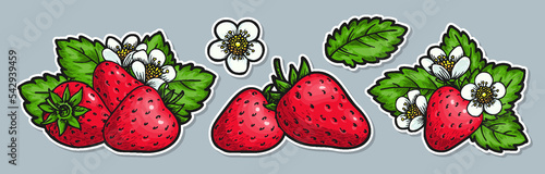 Sweet strawberry hand drawn stickers set. Whole red berries with leaves and flowers. Farmers market badges for organic fruit product, healthy eco food, packaging craft label, card, scrapbooking, tag
