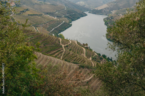 view of the river from the top of the mountain photo