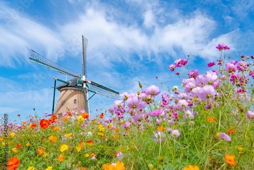 windmill in the field of flowers