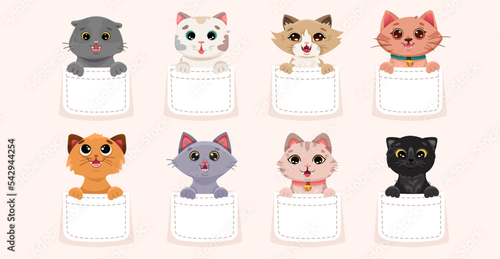 Cute cats in pocket set. Collection of pets sitting inside pocket. Funny and happy cartoon kitten characters for t-shirt design, baby printing. Vector cartoon illustration