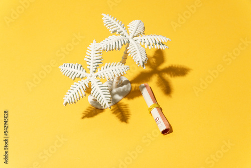 palm tree next to ticket and yellow background
 photo