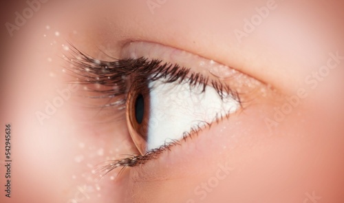 auge