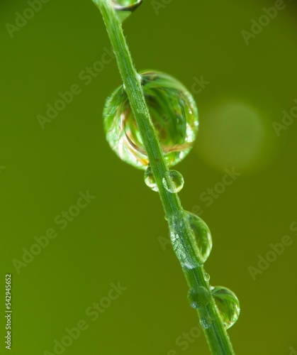 wassertropfen regen natur