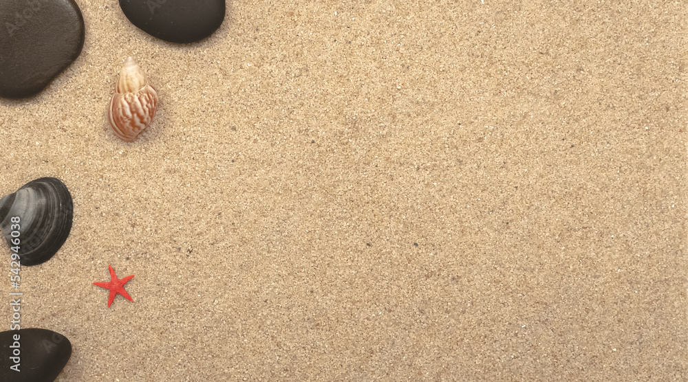 Coquillages sur fond de sable fin avec espace libre. Coquillages sur fond de sable fin avec espace libre.