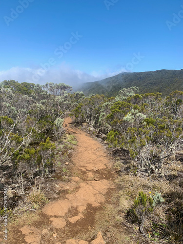 Sentier de randonnée sur le GRR2, ile de la Réunion