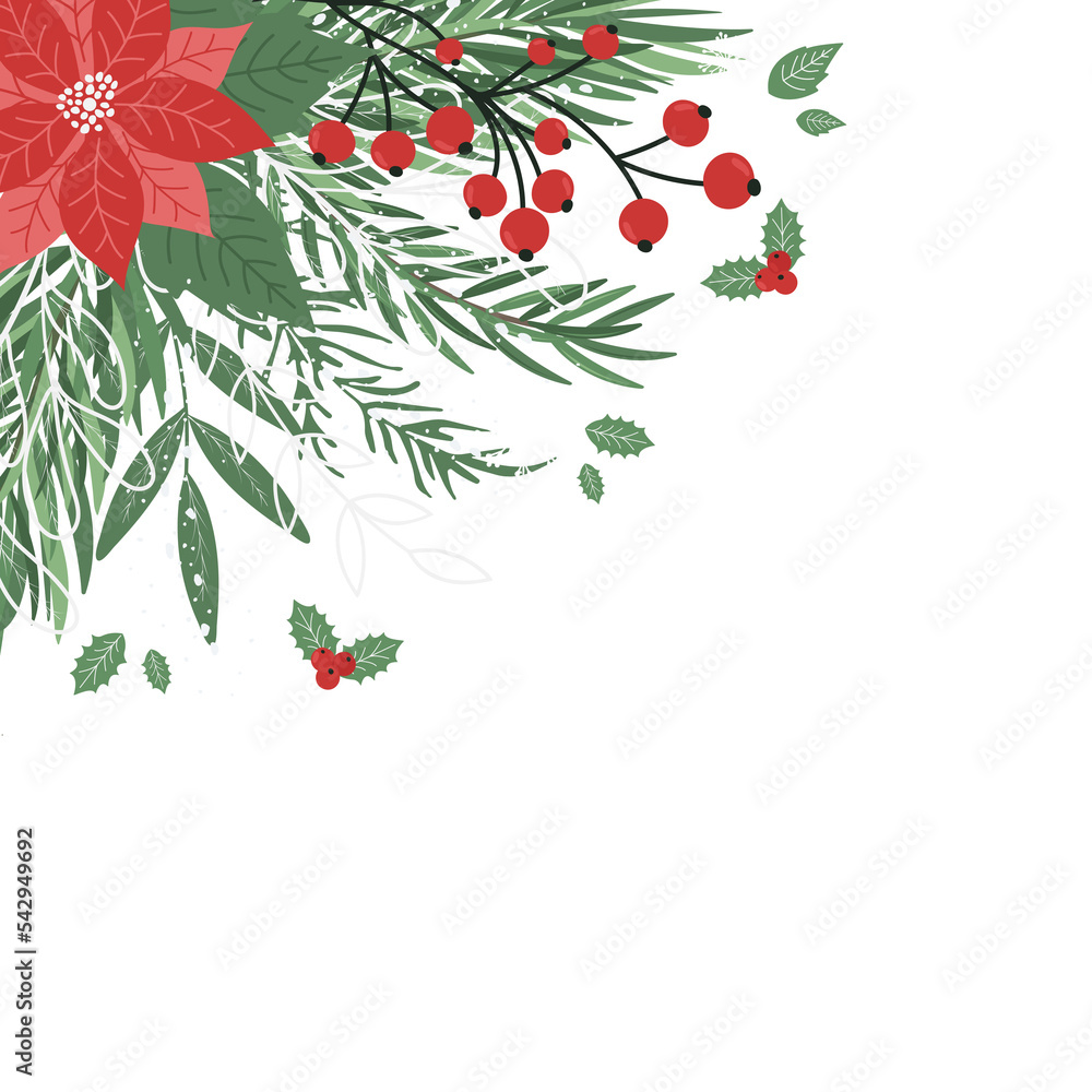 Christmas greeting card with winter leaves, poinsettias, Christmas tree branches