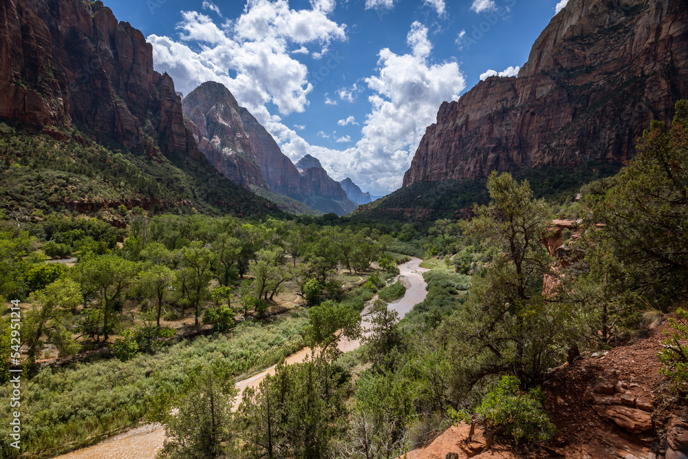 The breathtaking scenery in the green canyon of Zion national park where the virgin river flows through the landscape, Utah, USA