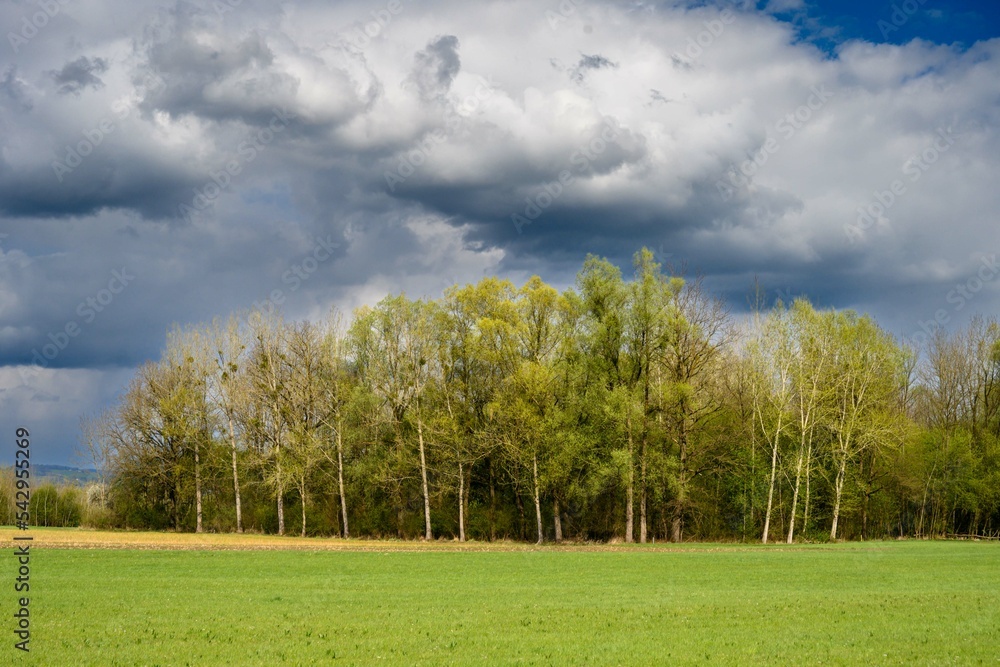 Fototapeta premium thunderstorm