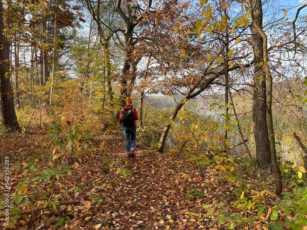 Hellsee, Lobethal, Brandenburg, Barnim, Herbst, Hellsee, Lobethal, Brandenburg, Barnim, Herbst,
