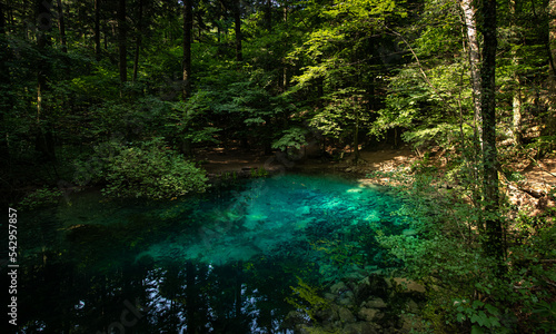Ochiul Bei Lake with amazing turquoise water color in the middle of a forest. Nature landscape landmark from Romania.