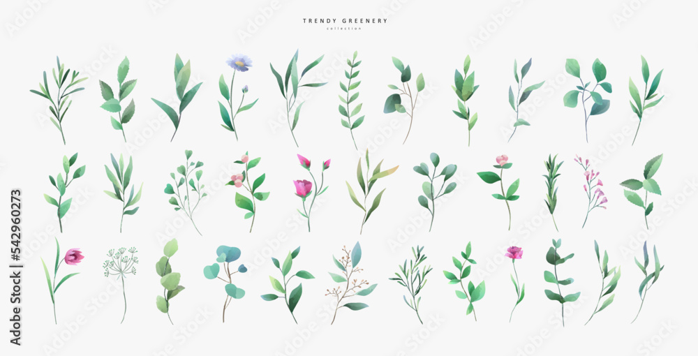 Set of luxury green leaves and flowers elements in watercolor style. Aquarelle trendy greenery branches and blooming. Vector isolated on white background for Invitation, greeting Set of luxury green leaves and flowers elements in watercolor style. Aquarelle trendy greenery branches and blooming. Vector isolated on white background for Invitation, greeting