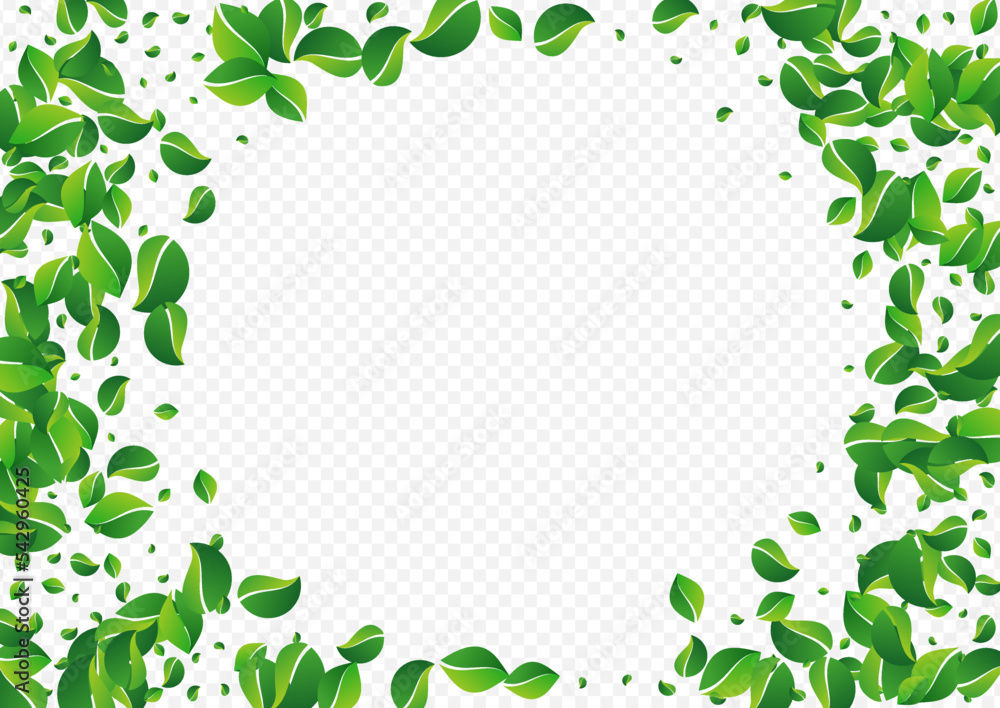 Olive Leaves Falling Vector Transparent Olive Leaves Falling Vector Transparent