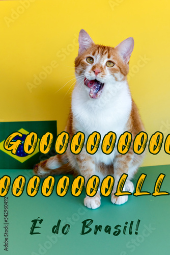 pet world cup, yellow cat Brazil fan with open mouth