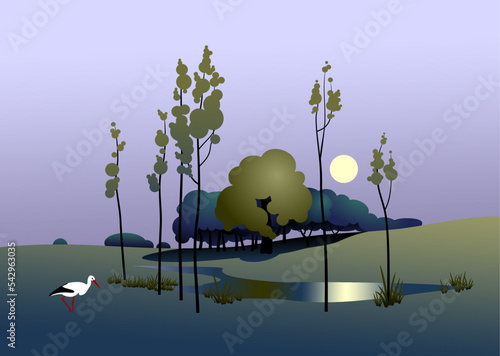Night bog is with a stork by the monthly light