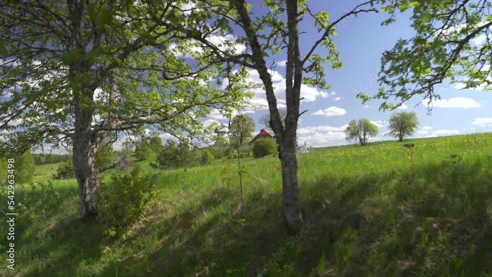 Green grass in the meadows on a sunny spring day. Latvian landscape with a house on a hill. Blue sky with white clouds over the forest and the road. An old windmill. National Park, Latvia Green grass in the meadows on a sunny spring day. Latvian landscape with a house on a hill. Blue sky with white clouds over the forest and the road. An old windmill. National Park, Latvia