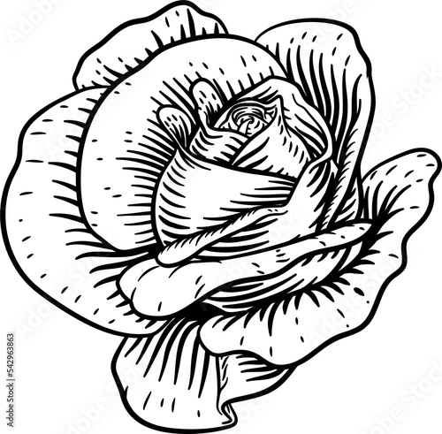 Rose Flower Vintage Woodcut Drawing