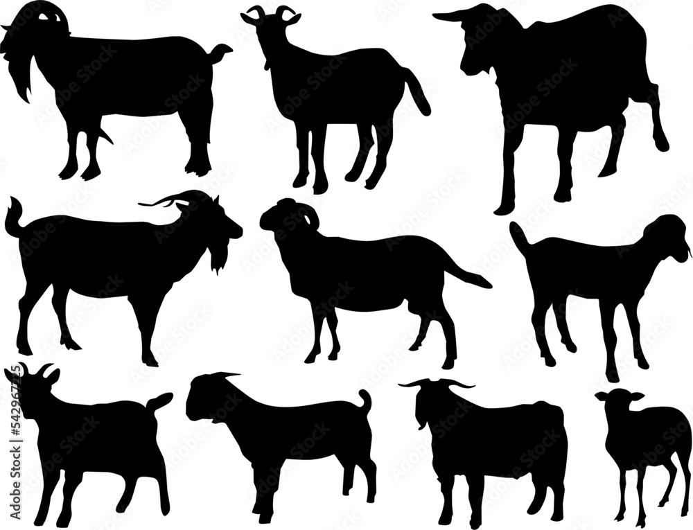 Set of goat