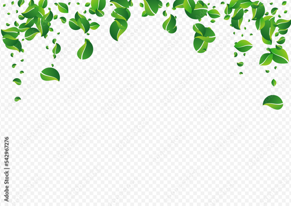 Lime Greens Tree Vector Transparent Background. Lime Greens Tree Vector Transparent Background.