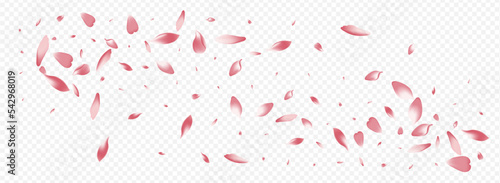Bright Peach Vector Panoramic Transparent