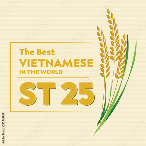 Vietnam ST25 rice concept.Paddy rice premium organic. Rice grain logo vector