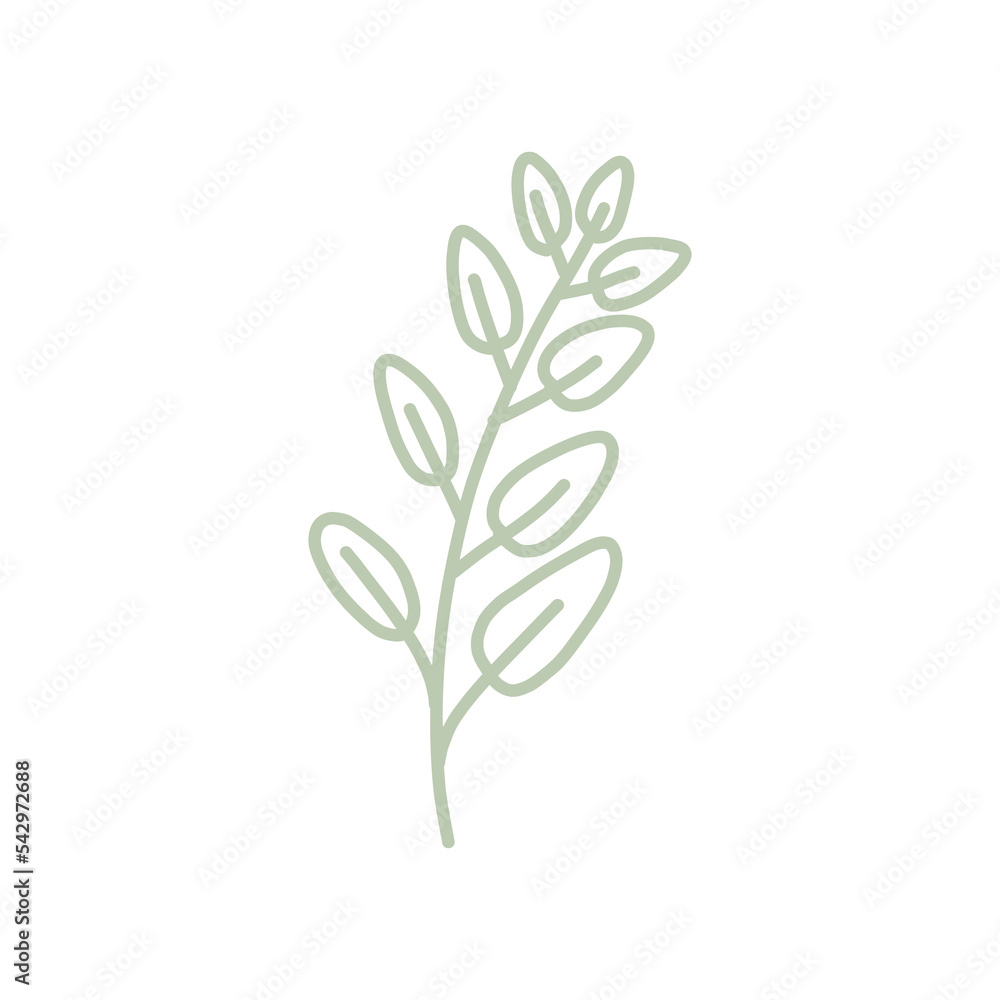 Doodle line art drawing leaves and flower branch pastel green color isolated on transparent background for design elements in concept nature, organic