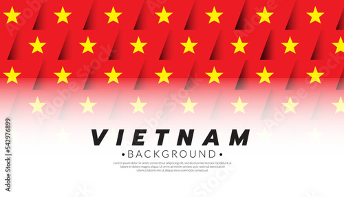 Vietnam flag pattern background template. AEC ASEAN economic community flags. Vector Illustration.
