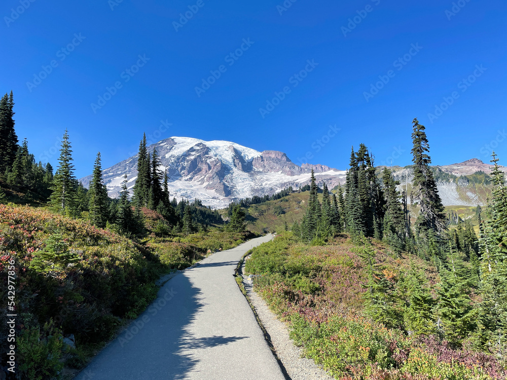 Fototapeta premium Mt. Rainier Skyline Trail
